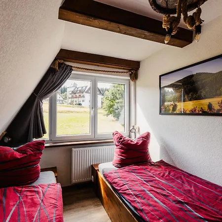 Laerchenblick Vila Altenberg (Krušné hory)