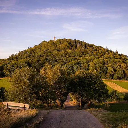 Laerchenblick Vila *