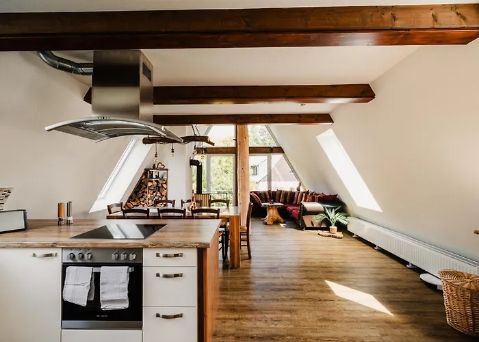 Lärchenblick Altenberg (Erzgebirge)